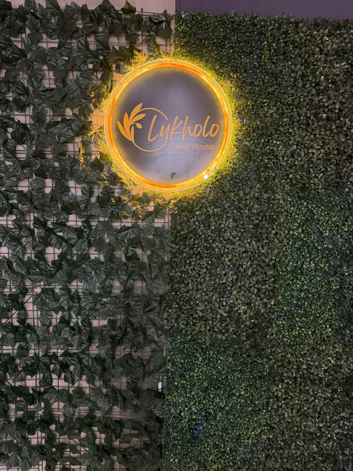 Lukholo signage on living green wall